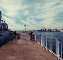 北公園でのんびり小物釣り