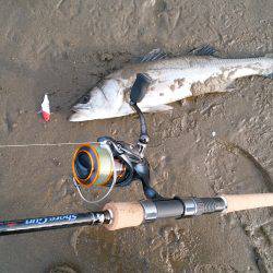 平日デイシーバス