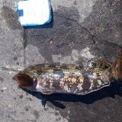 投げ釣りでﾎﾟﾝ!!