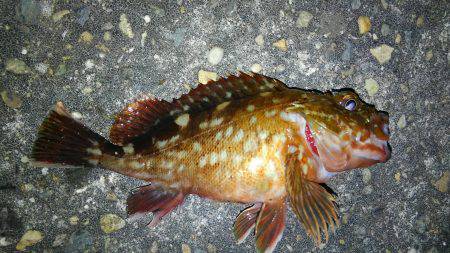 暖かい1日でした