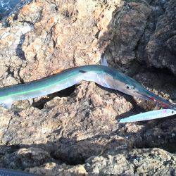 頑張ったんやけど…