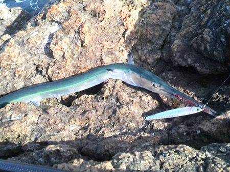 頑張ったんやけど…