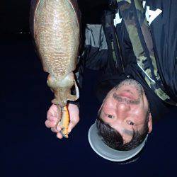 コウイカエギング