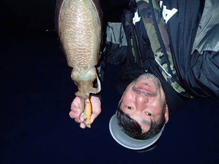 コウイカエギング