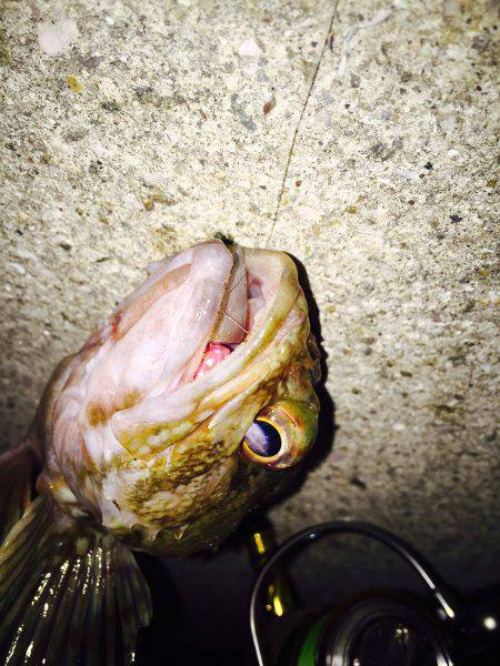 寒かったですわ〜