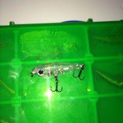 伊根メバリング part2