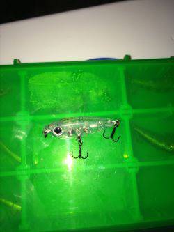 伊根メバリング part2