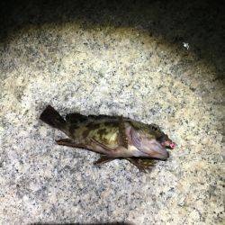 釣れて良かった。