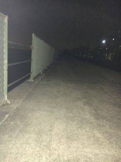 ガシラは美味い