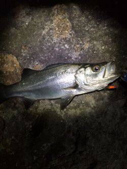 やっぱ爆風❗️