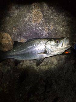 やっぱ爆風❗️