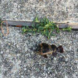 まだ陽はあります