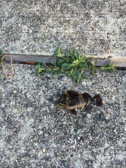 まだ陽はあります