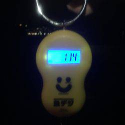 久々のアオリイカゲット‼️