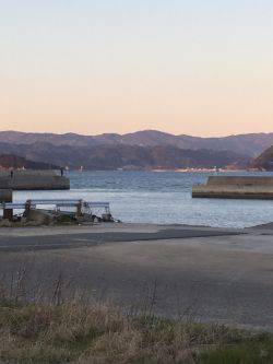 またまた良型チヌ