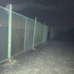 ガシラを探して