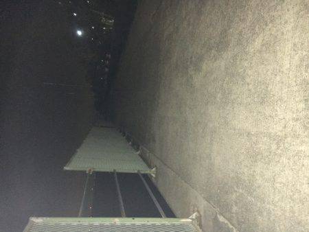 ガシラは美味い