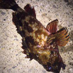 ラインラインライン