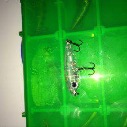 伊根メバリング part2