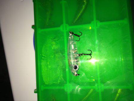 伊根メバリング part2