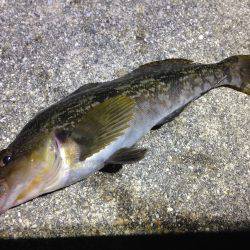 まだ、夜は冷えますね。寒い。