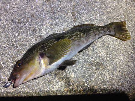 まだ、夜は冷えますね。寒い。