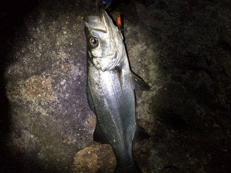 やっぱ爆風❗️