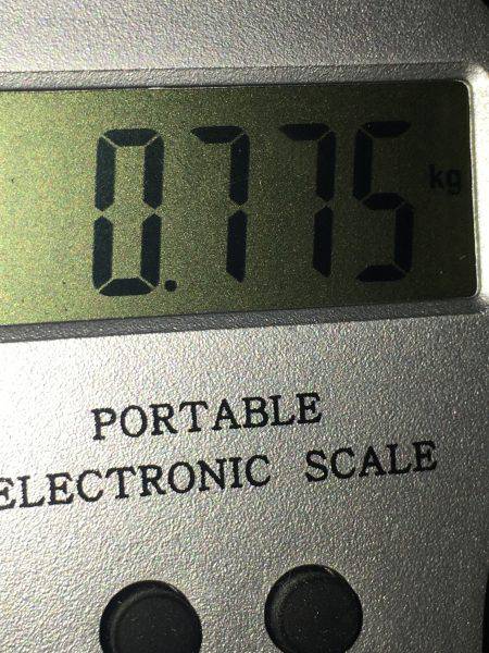 春イカシーズン到来かな？