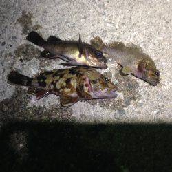 仕事帰りの30分