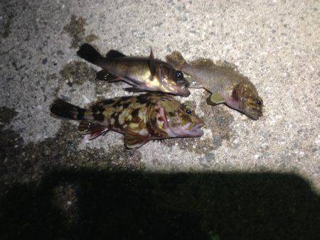 仕事帰りの30分