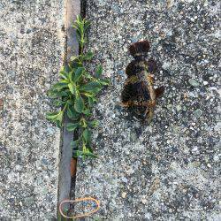 まだ陽はあります