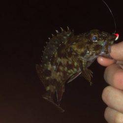 風を利用して〜