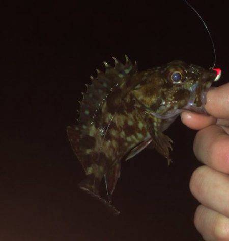 風を利用して〜