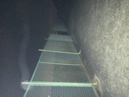 ガシラを探して