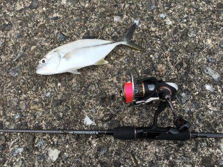 ジグヘッドワームでメッキ