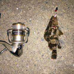 初めてのテキサスリグ