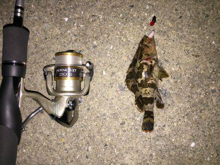 初めてのテキサスリグ