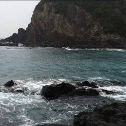 順調にシーズン到来です。