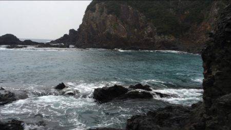 順調にシーズン到来です。