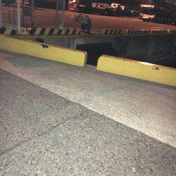 メバルのプラッキングで初GET