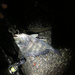 ストレス溜まる