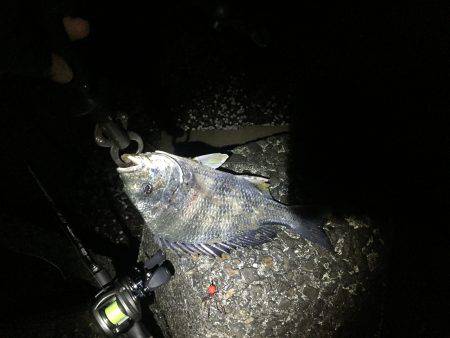 ストレス溜まる