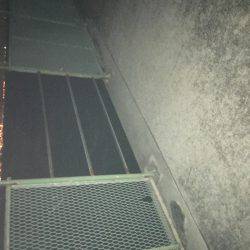 プラッキングは不発