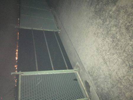 プラッキングは不発