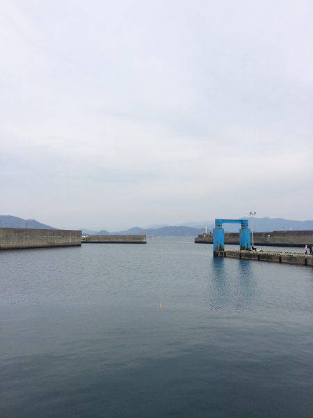 イワシに、稚鮎に、