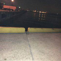 プラグは難しい