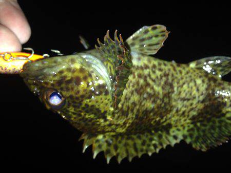 ワームとプラグ