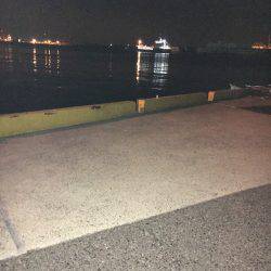 プラグは面白いよ