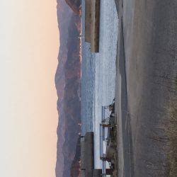 またまた良型チヌ