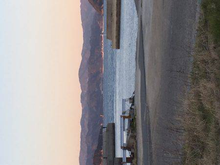 またまた良型チヌ